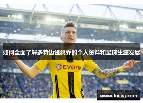 如何全面了解多特边锋桑乔的个人资料和足球生涯发展