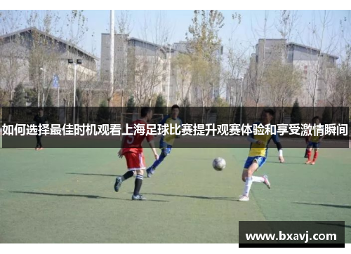 如何选择最佳时机观看上海足球比赛提升观赛体验和享受激情瞬间